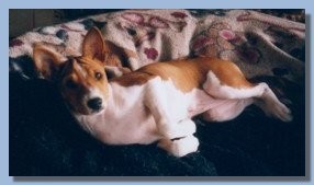 Am I cute?