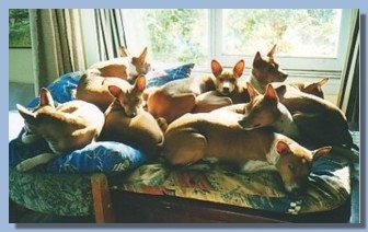 Sunbaking