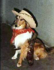 Cisco Kid