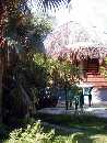 Touch a Thatch Cottage Rental, Negril Jamaica
