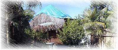 Welcome To Touch a Thatch Cottage Rental, Negril Jamaica