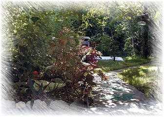 Welcome To Touch a Thatch Cottage Rental, Negril Jamaica