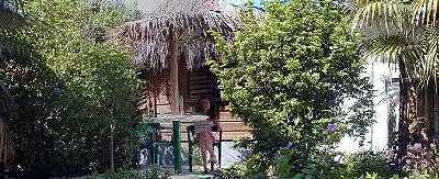 Touch a Thatch Cottage Rental, Negril Jamaica