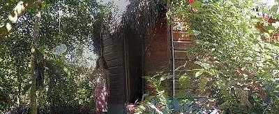 Touch a Thatch Cottage Rental, Negril Jamaica