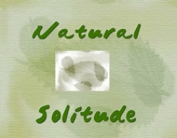 Click image to visit my online store!