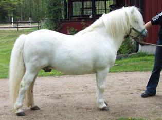  Rakenne kuva 