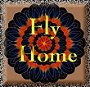 fly