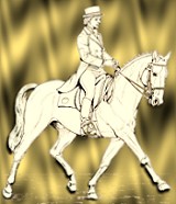 Dressage