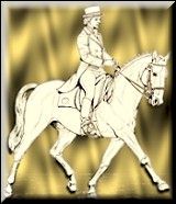 Dressage