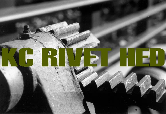 Bravenet SiteRing