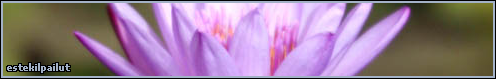 Free Flower Pictures