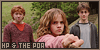 Potter