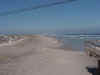 long beach.jpg (21930 bytes)