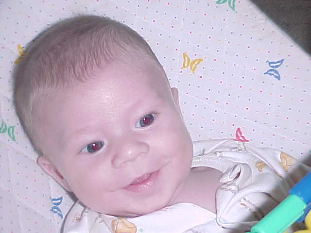 How did Kelda and her human feel about pregnancy?