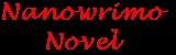 nanowrimo novel