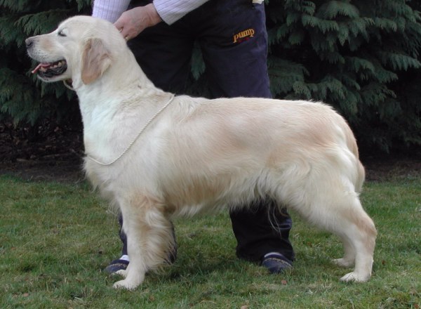 (c) Kennel Garbank