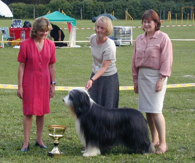 &copy; Kiaora. Real dog in the photo is 
Int.Ch.Firstprizebears Lukachukai