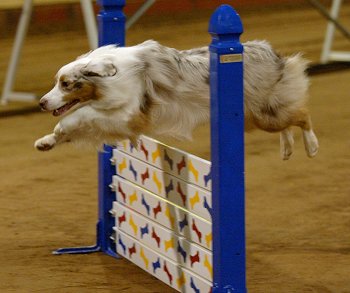 &copy Kathrin Phillips-Ellis