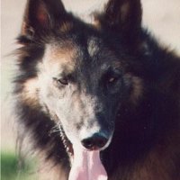 AprilFlower's Extrime