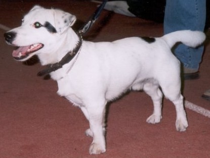  milty