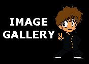 Image Gallery