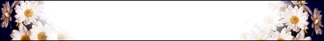 Right click your mouse on this banner and save it to your webpage.  Please create a link to this site with the banner.