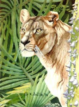'Lioness', 8 x 6 in., watercolor on paper,  Karen G. Jollie 1994