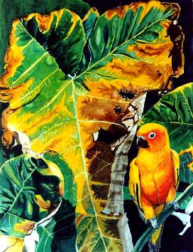 'Turning Elephant-Ear with Sun Conure', 18 X 13  in., Watercolor on illustr. Board.  1994 Karen G. Jollie