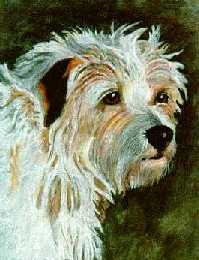 'Candy', 12 X 9, Cont� crayon and chalk on charcoal paper