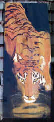 tiger's lair.jpg (118258 bytes)