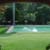 my grandmother's back yard