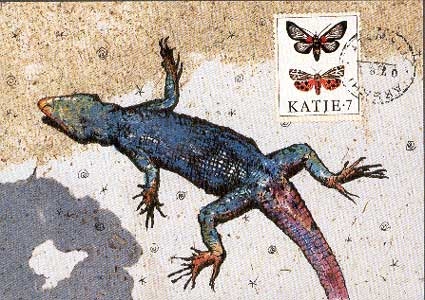 Geko Print