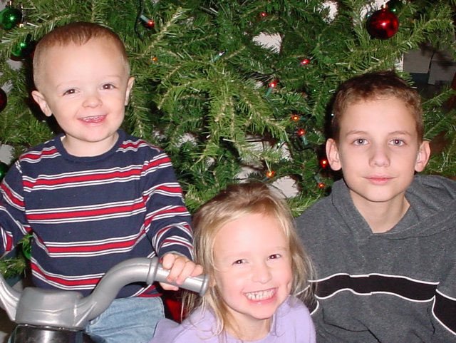 Christmas Picture