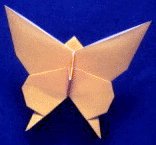 butterfly