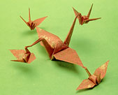 crane
