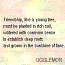 Thank You Ugglemor