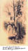 15JosephSamuelDavis