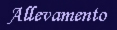 allevamento