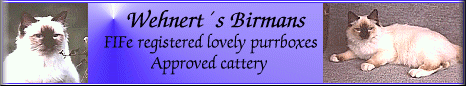Wehnert's Sacred Birmans
