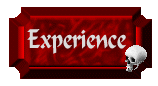 Experience