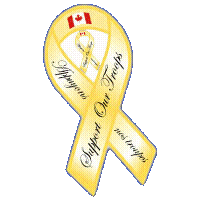 Support Our Troops yellow ribbon