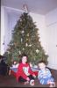 Ray & Mandy Tree