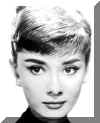 audrey.jpg (21687 bytes)