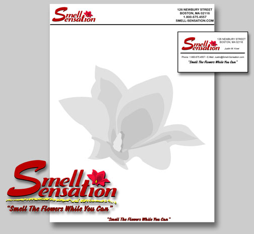 SS Graphics