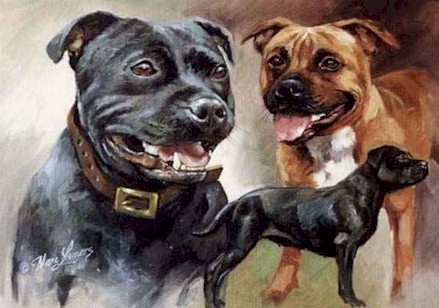 _dogs048.jpg (24903 bytes)