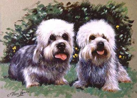 _dogs031.jpg (64569 bytes)