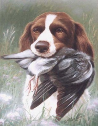 _dogs042.jpg (38187 bytes)