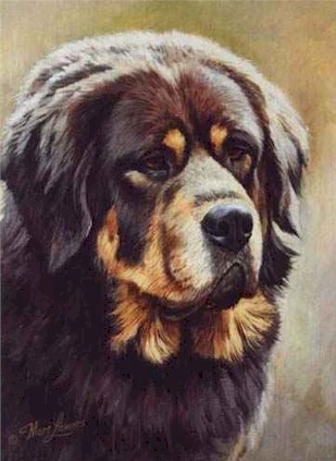 _dogs046.jpg (39915 bytes)