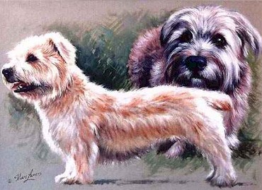 _dogs052.jpg (43195 bytes)