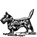 _dogs124.gif (180496 bytes)